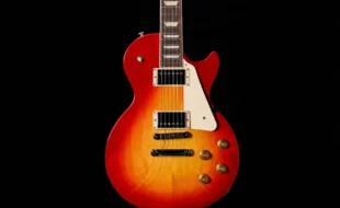 Revolt In Style_Gibson_Les Paul copy