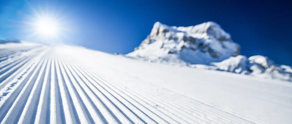 Revolt In Style Fresh Groom