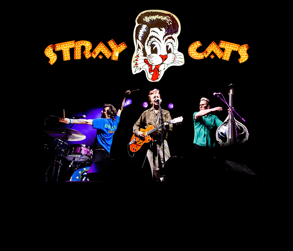 Stray Cats On Stage