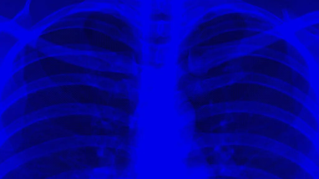 Jack White Header
