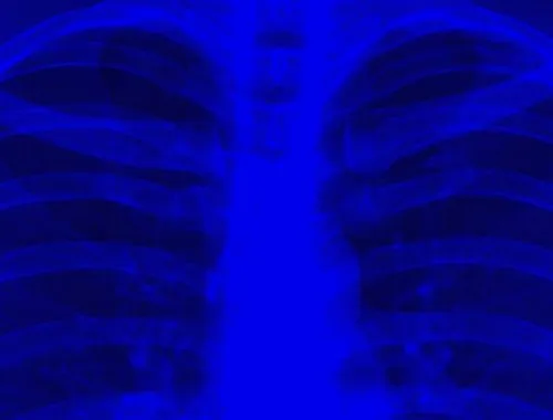 Jack White Header