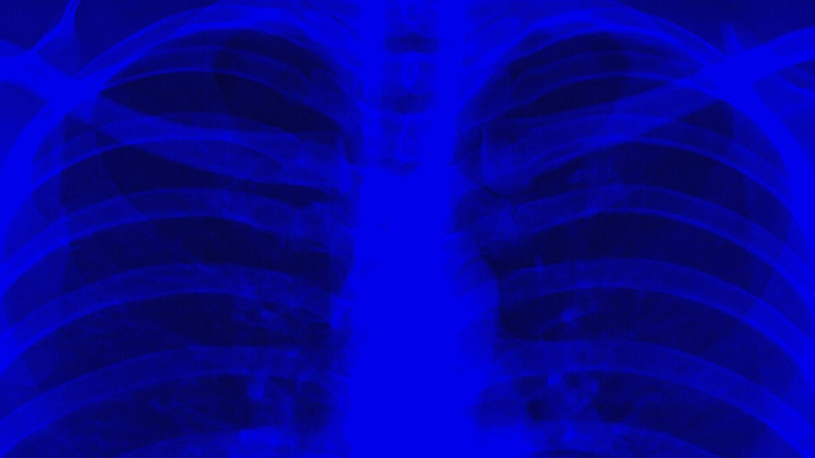 Jack White Header